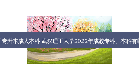 武汉理工专升本成人本科 武汉理工大学2022年成教专科、本科有哪些专业-第1张图片-天智网 武汉理工专升本成人本科 武汉理工大学2022年成教专科、本科有哪些专业-第1张图片-天智网