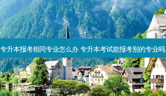 专升本报考相同专业怎么办 专升本考试能报考别的专业吗-第1张图片-天智网 专升本报考相同专业怎么办 专升本考试能报考别的专业吗-第1张图片-天智网