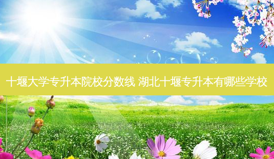 十堰大学专升本院校分数线 湖北十堰专升本有哪些学校-第1张图片-天智网 十堰大学专升本院校分数线 湖北十堰专升本有哪些学校-第1张图片-天智网