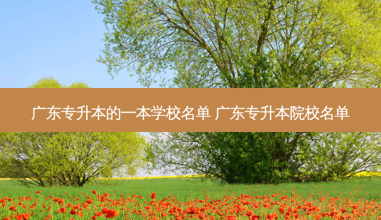 广东专升本的一本学校名单 广东专升本院校名单-第1张图片-天智网 广东专升本的一本学校名单 广东专升本院校名单-第1张图片-天智网