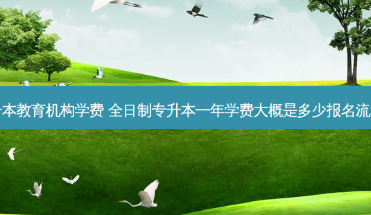 全日制专升本教育机构学费 全日制专升本一年学费大概是多少报名流程是怎样的-第1张图片-天智网 全日制专升本教育机构学费 全日制专升本一年学费大概是多少报名流程是怎样的-第1张图片-天智网