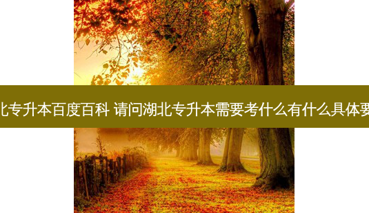 湖北专升本百度百科 请问湖北专升本需要考什么有什么具体要求-第1张图片-天智网 湖北专升本百度百科 请问湖北专升本需要考什么有什么具体要求-第1张图片-天智网