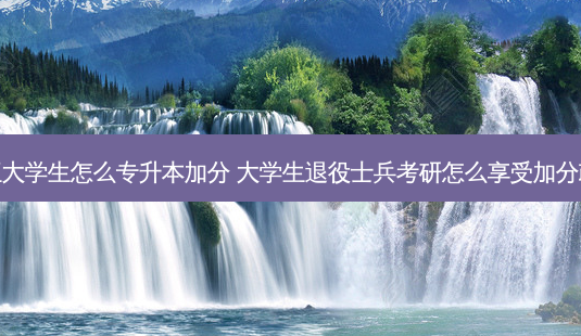 退伍大学生怎么专升本加分 大学生退役士兵考研怎么享受加分政策-第1张图片-天智网 退伍大学生怎么专升本加分 大学生退役士兵考研怎么享受加分政策-第1张图片-天智网