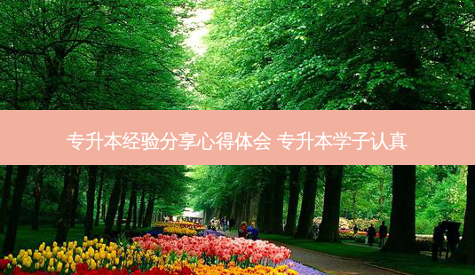 专升本经验分享心得体会 专升本学子认真-第1张图片-天智网 专升本经验分享心得体会 专升本学子认真-第1张图片-天智网