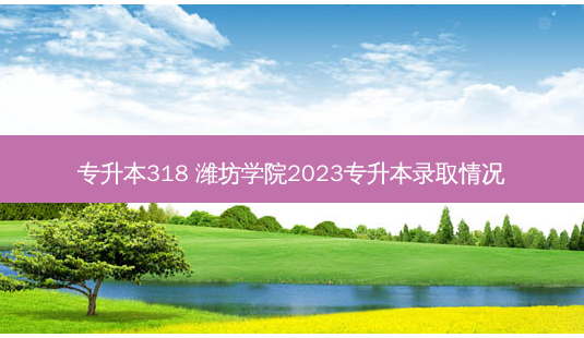专升本318 潍坊学院2023专升本录取情况-第1张图片-天智网 专升本318 潍坊学院2023专升本录取情况-第1张图片-天智网