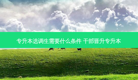 专升本选调生需要什么条件 干部晋升专升本-第1张图片-天智网 专升本选调生需要什么条件 干部晋升专升本-第1张图片-天智网