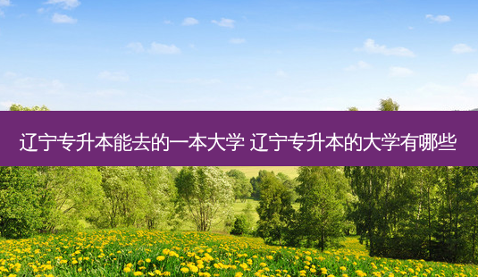 辽宁专升本能去的一本大学 辽宁专升本的大学有哪些-第1张图片-天智网 辽宁专升本能去的一本大学 辽宁专升本的大学有哪些-第1张图片-天智网