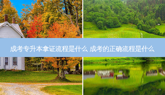 成考专升本拿证流程是什么 成考的正确流程是什么-第1张图片-天智网 成考专升本拿证流程是什么 成考的正确流程是什么-第1张图片-天智网