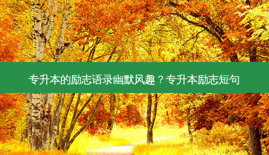 专升本的励志语录幽默风趣?专升本励志短句-第1张图片-天智网 专升本的励志语录幽默风趣?专升本励志短句-第1张图片-天智网