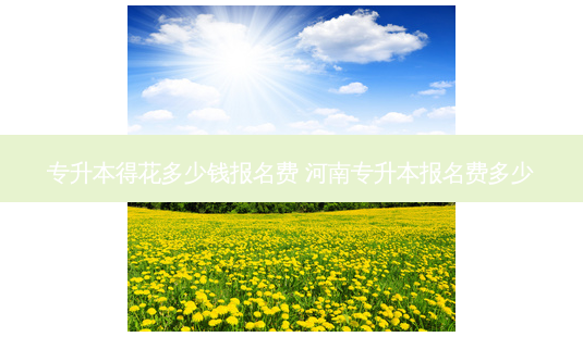 专升本得花多少钱报名费 河南专升本报名费多少-第1张图片-天智网 专升本得花多少钱报名费 河南专升本报名费多少-第1张图片-天智网