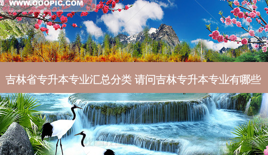 吉林省专升本专业汇总分类 请问吉林专升本专业有哪些-第1张图片-天智网 吉林省专升本专业汇总分类 请问吉林专升本专业有哪些-第1张图片-天智网