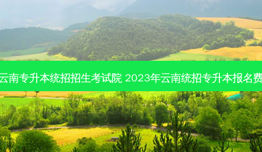 云南专升本统招招生考试院 2023年云南统招专升本报名费-第1张图片-天智网 云南专升本统招招生考试院 2023年云南统招专升本报名费-第1张图片-天智网