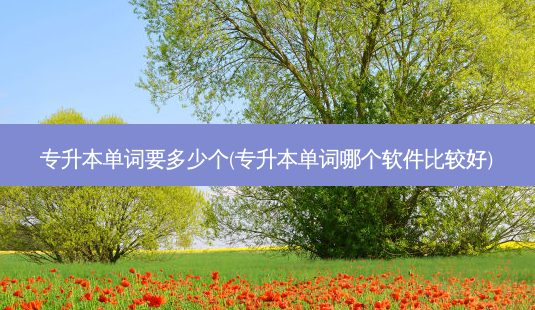 专升本单词要多少个(专升本单词哪个软件比较好)-第1张图片-天智网 专升本单词要多少个(专升本单词哪个软件比较好)-第1张图片-天智网