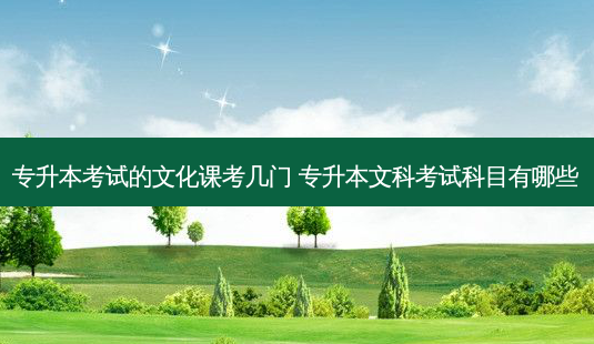 专升本考试的文化课考几门 专升本文科考试科目有哪些-第1张图片-天智网 专升本考试的文化课考几门 专升本文科考试科目有哪些-第1张图片-天智网