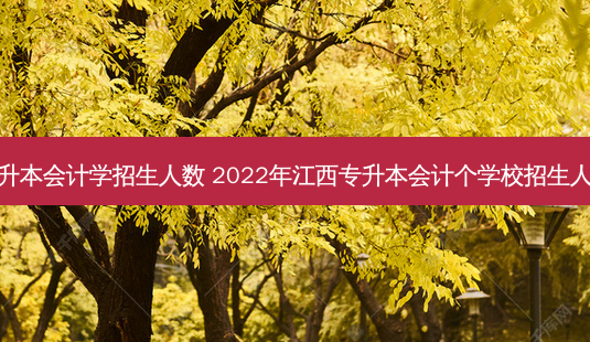 专升本会计学招生人数 2022年江西专升本会计个学校招生人数-第1张图片-天智网 专升本会计学招生人数 2022年江西专升本会计个学校招生人数-第1张图片-天智网