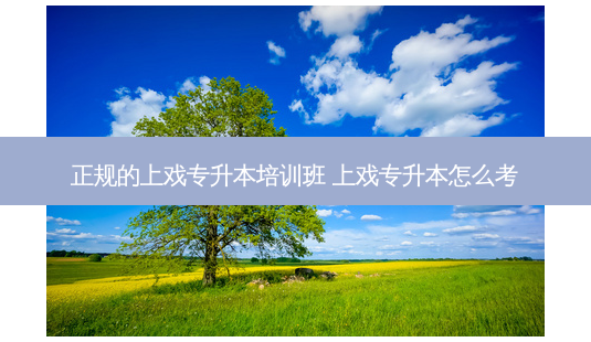 正规的上戏专升本培训班 上戏专升本怎么考-第1张图片-天智网 正规的上戏专升本培训班 上戏专升本怎么考-第1张图片-天智网