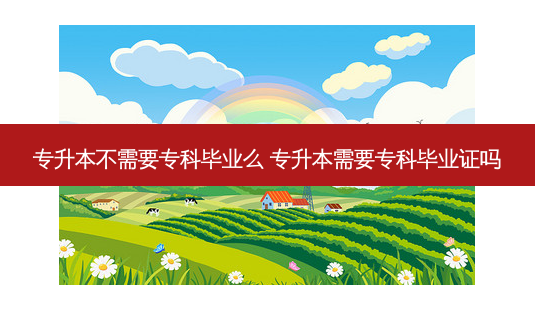 专升本不需要专科毕业么 专升本需要专科毕业证吗-第1张图片-天智网 专升本不需要专科毕业么 专升本需要专科毕业证吗-第1张图片-天智网