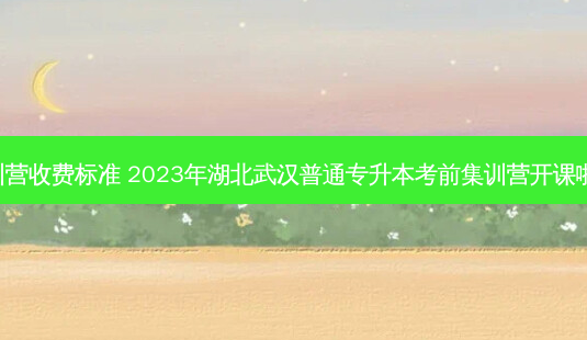 统招专升本集训营收费标准 2023年湖北武汉普通专升本考前集训营开课啦,欢迎报名咨询-第1张图片-天智网 统招专升本集训营收费标准 2023年湖北武汉普通专升本考前集训营开课啦,欢迎报名咨询-第1张图片-天智网