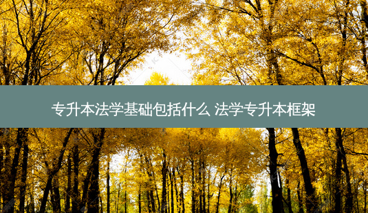 专升本法学基础包括什么 法学专升本框架-第1张图片-天智网 专升本法学基础包括什么 法学专升本框架-第1张图片-天智网