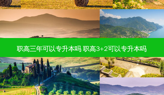 职高三年可以专升本吗 职高3+2可以专升本吗-第1张图片-天智网 职高三年可以专升本吗 职高3+2可以专升本吗-第1张图片-天智网