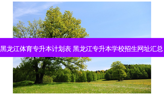 黑龙江体育专升本计划表 黑龙江专升本学校招生网址汇总-第1张图片-天智网 黑龙江体育专升本计划表 黑龙江专升本学校招生网址汇总-第1张图片-天智网