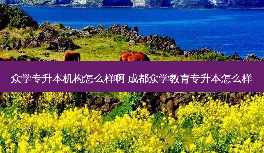 众学专升本机构怎么样啊 成都众学教育专升本怎么样-第1张图片-天智网 众学专升本机构怎么样啊 成都众学教育专升本怎么样-第1张图片-天智网