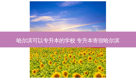 哈尔滨可以专升本的学校 专升本寄宿哈尔滨-第1张图片-天智网 哈尔滨可以专升本的学校 专升本寄宿哈尔滨-第1张图片-天智网