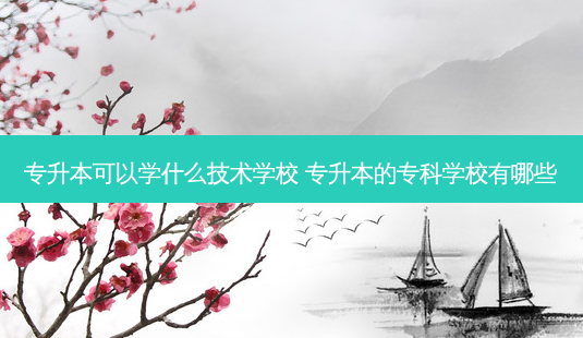 专升本可以学什么技术学校 专升本的专科学校有哪些-第1张图片-天智网 专升本可以学什么技术学校 专升本的专科学校有哪些-第1张图片-天智网