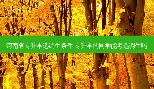 河南省专升本选调生条件 专升本的同学能考选调生吗-第1张图片-天智网 河南省专升本选调生条件 专升本的同学能考选调生吗-第1张图片-天智网