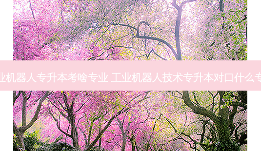 工业机器人专升本考啥专业 工业机器人技术专升本对口什么专业-第1张图片-天智网 工业机器人专升本考啥专业 工业机器人技术专升本对口什么专业-第1张图片-天智网