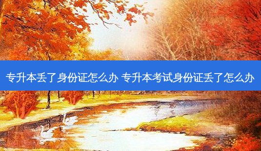 专升本丢了身份证怎么办 专升本考试身份证丢了怎么办-第1张图片-天智网 专升本丢了身份证怎么办 专升本考试身份证丢了怎么办-第1张图片-天智网