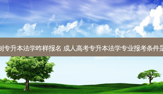 全日制专升本法学咋样报名 成人高考专升本法学专业报考条件是什么-第1张图片-天智网 全日制专升本法学咋样报名 成人高考专升本法学专业报考条件是什么-第1张图片-天智网