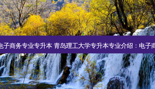 青岛市电子商务专业专升本 青岛理工大学专升本专业介绍:电子商务专业-第1张图片-天智网 青岛市电子商务专业专升本 青岛理工大学专升本专业介绍:电子商务专业-第1张图片-天智网