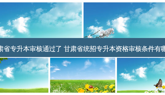 甘肃省专升本审核通过了 甘肃省统招专升本资格审核条件有哪些-第1张图片-天智网 甘肃省专升本审核通过了 甘肃省统招专升本资格审核条件有哪些-第1张图片-天智网