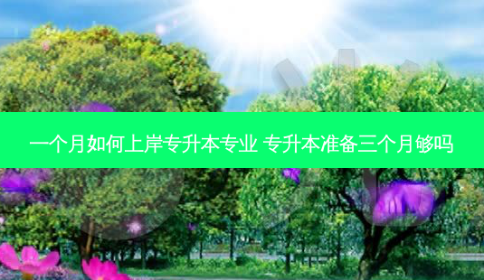 一个月如何上岸专升本专业 专升本准备三个月够吗-第1张图片-天智网 一个月如何上岸专升本专业 专升本准备三个月够吗-第1张图片-天智网