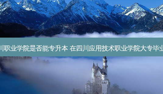 四川职业学院是否能专升本 在四川应用技术职业学院大专毕业后-第1张图片-天智网 四川职业学院是否能专升本 在四川应用技术职业学院大专毕业后-第1张图片-天智网