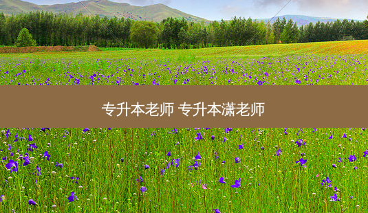 专升本老师 专升本潇老师-第1张图片-天智网 专升本老师 专升本潇老师-第1张图片-天智网