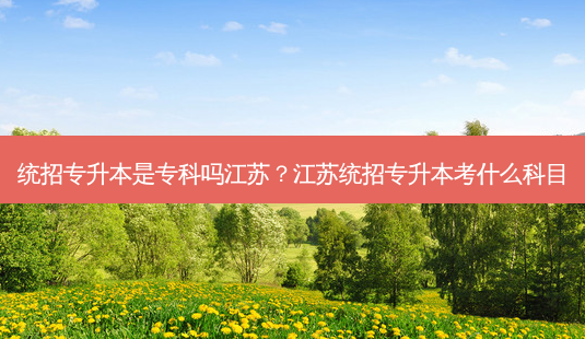 统招专升本是专科吗江苏?江苏统招专升本考什么科目-第1张图片-天智网 统招专升本是专科吗江苏?江苏统招专升本考什么科目-第1张图片-天智网
