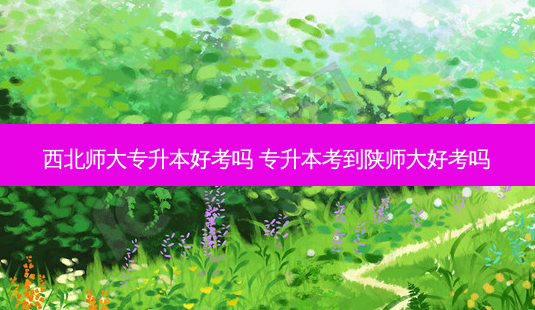 西北师大专升本好考吗 专升本考到陕师大好考吗-第1张图片-天智网 西北师大专升本好考吗 专升本考到陕师大好考吗-第1张图片-天智网
