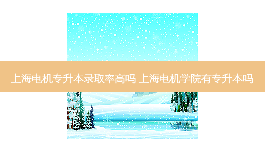 上海电机专升本录取率高吗 上海电机学院有专升本吗-第1张图片-天智网 上海电机专升本录取率高吗 上海电机学院有专升本吗-第1张图片-天智网