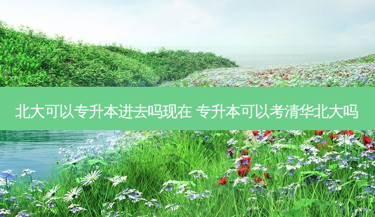 北大可以专升本进去吗现在 专升本可以考清华北大吗-第1张图片-天智网 北大可以专升本进去吗现在 专升本可以考清华北大吗-第1张图片-天智网