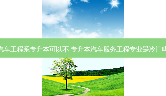 汽车工程系专升本可以不 专升本汽车服务工程专业是冷门吗-第1张图片-天智网 汽车工程系专升本可以不 专升本汽车服务工程专业是冷门吗-第1张图片-天智网