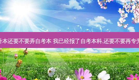 考专升本还要不要弄自考本 我已经报了自考本科,还要不要再专升本呢-第1张图片-天智网 考专升本还要不要弄自考本 我已经报了自考本科,还要不要再专升本呢-第1张图片-天智网