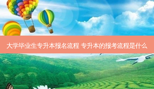 大学毕业生专升本报名流程 专升本的报考流程是什么-第1张图片-天智网 大学毕业生专升本报名流程 专升本的报考流程是什么-第1张图片-天智网