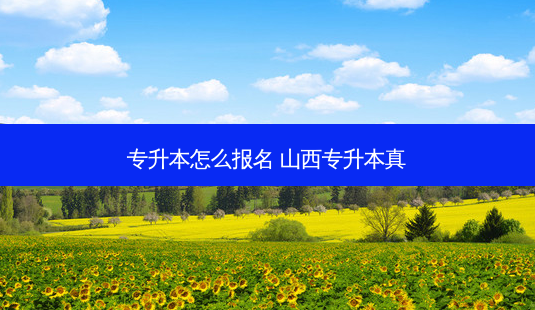专升本怎么报名 山西专升本真-第1张图片-天智网 专升本怎么报名 山西专升本真-第1张图片-天智网