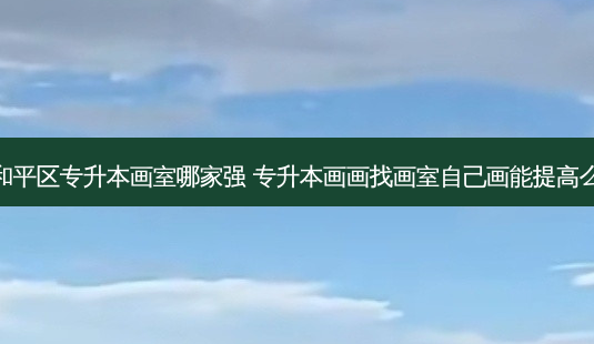 和平区专升本画室哪家强 专升本画画找画室自己画能提高么-第1张图片-天智网 和平区专升本画室哪家强 专升本画画找画室自己画能提高么-第1张图片-天智网