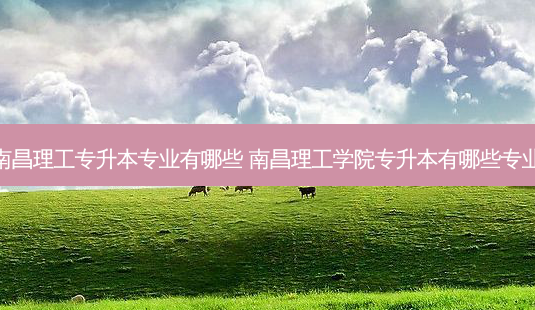 南昌理工专升本专业有哪些 南昌理工学院专升本有哪些专业-第1张图片-天智网 南昌理工专升本专业有哪些 南昌理工学院专升本有哪些专业-第1张图片-天智网