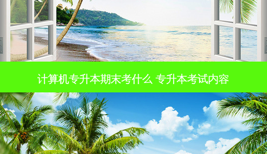 计算机专升本期末考什么 专升本考试内容-第1张图片-天智网 计算机专升本期末考什么 专升本考试内容-第1张图片-天智网