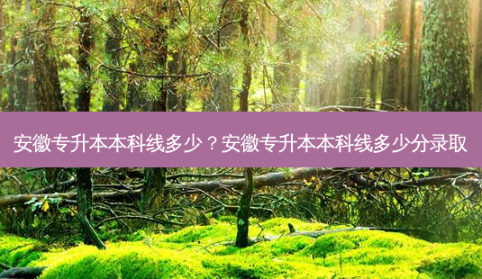 安徽专升本本科线多少?安徽专升本本科线多少分录取-第1张图片-天智网 安徽专升本本科线多少?安徽专升本本科线多少分录取-第1张图片-天智网
