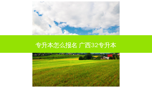 专升本怎么报名 广西32专升本-第1张图片-天智网 专升本怎么报名 广西32专升本-第1张图片-天智网